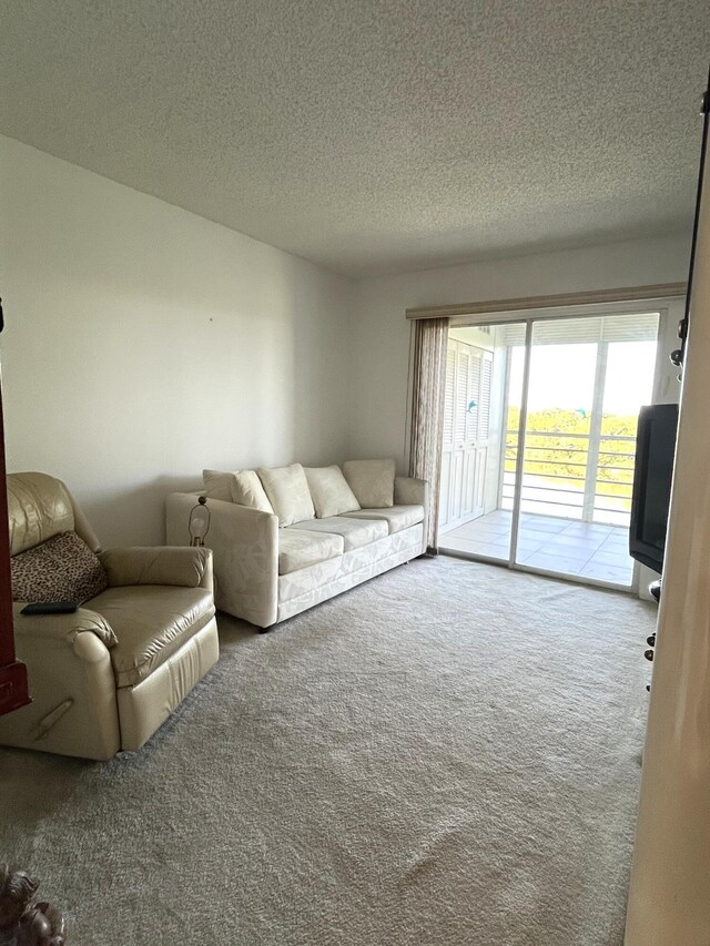 4047 Ainslie C, Boca Raton, FL 33434 - carpeted living area featuring a textured ceiling