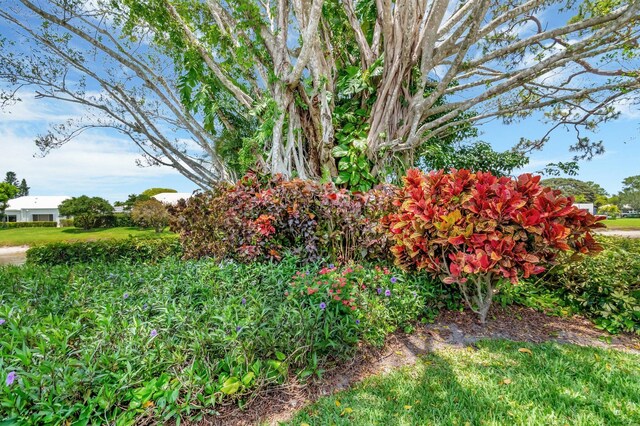 5 Slash Pine Dr, Boynton Beach, FL 33436 - view of yard
