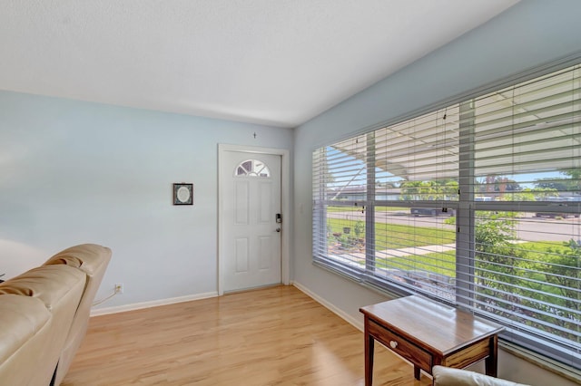 410 High Point Dr Unit C, Delray Beach, FL 33445 - foyer featuring light wood-style flooring and baseboards