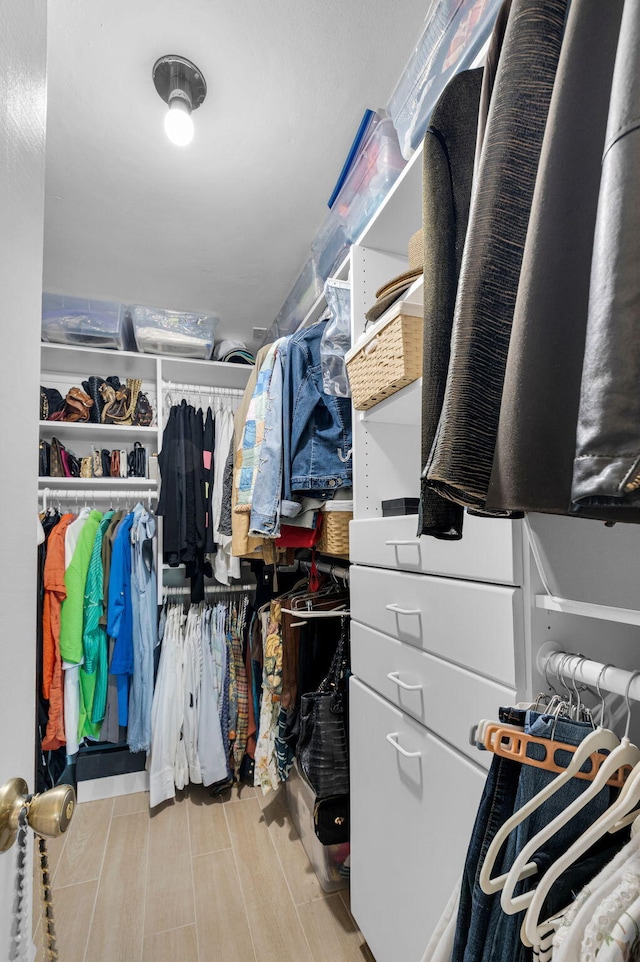 730 Greensward Ct Unit 107-J, Delray Beach, FL 33445 - view of spacious closet