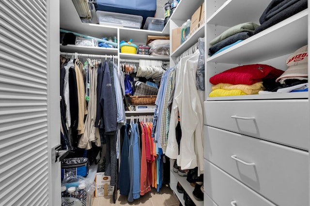 730 Greensward Ct Unit 107-J, Delray Beach, FL 33445 - view of walk in closet