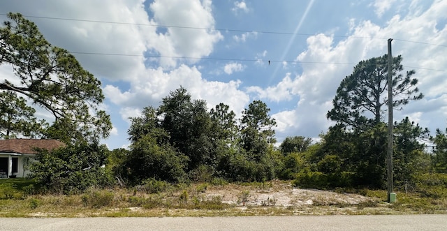 253 Joppa Ave, Lake Placid, FL 33852