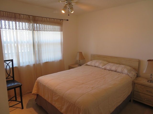 9233 SW 8th St Unit 207, Boca Raton, FL 33428 - view of carpeted bedroom