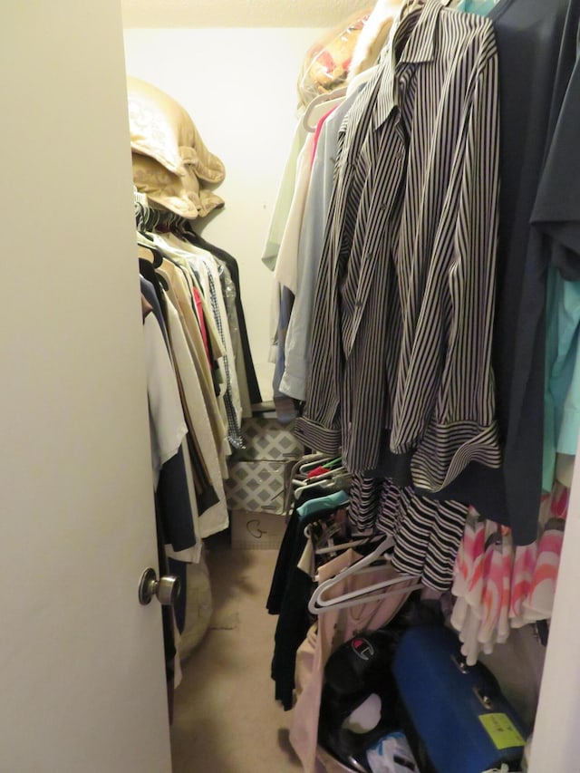 9233 SW 8th St Unit 207, Boca Raton, FL 33428 - walk in closet featuring carpet