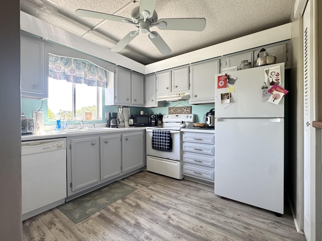 1560 NE 12th Ter Unit D9, Jensen Beach, FL 34957 - kitchen featuring white appliances, under cabinet range hood, gray cabinets, a sink, and light countertops