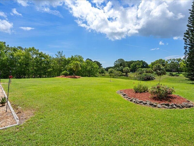 6575 NW Pomona Ct, Port Saint Lucie, FL 34983 - view of green lawn