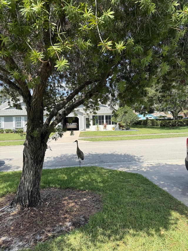 4050 Gator Trace Rd, Fort Pierce, FL 34982 - view of green lawn