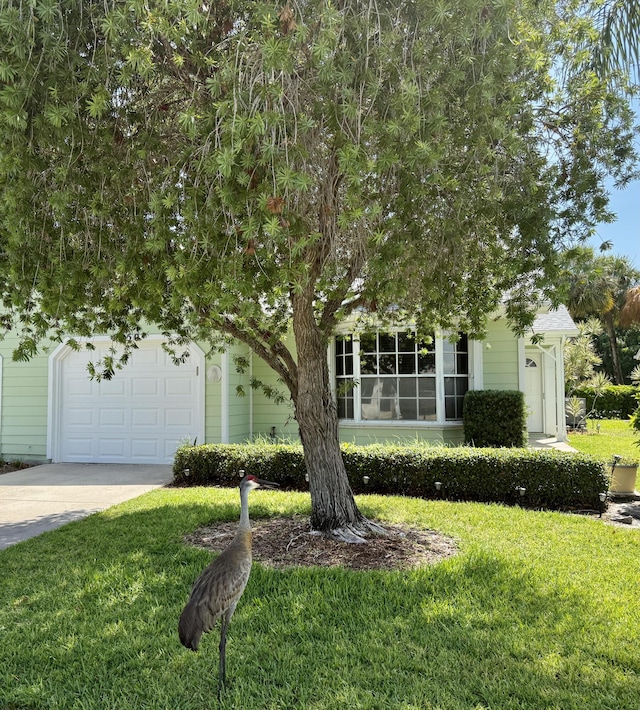 4050 Gator Trace Rd, Fort Pierce, FL 34982 - view of property hidden behind natural elements featuring a front yard and concrete driveway