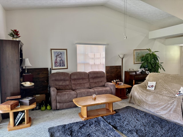 4050 Gator Trace Rd, Fort Pierce, FL 34982 - living room with carpet flooring, lofted ceiling, and a textured ceiling