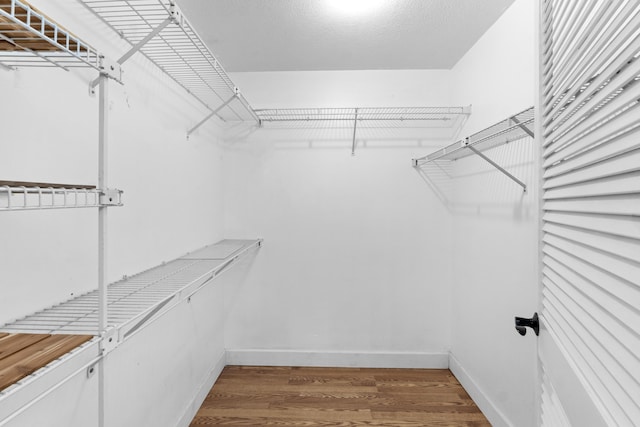 spacious closet featuring wood finished floors