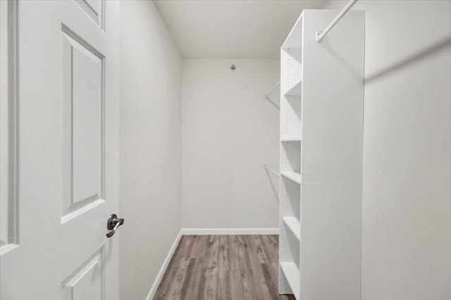 275 Palm Ave Unit B304, Jupiter, FL 33477 - spacious closet featuring light wood finished floors