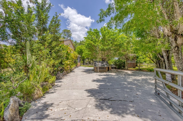 13705 Persimmon Blvd, The Acreage, FL 33411 - view of patio