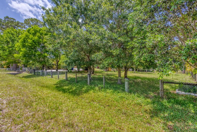 13705 Persimmon Blvd, The Acreage, FL 33411 - view of yard
