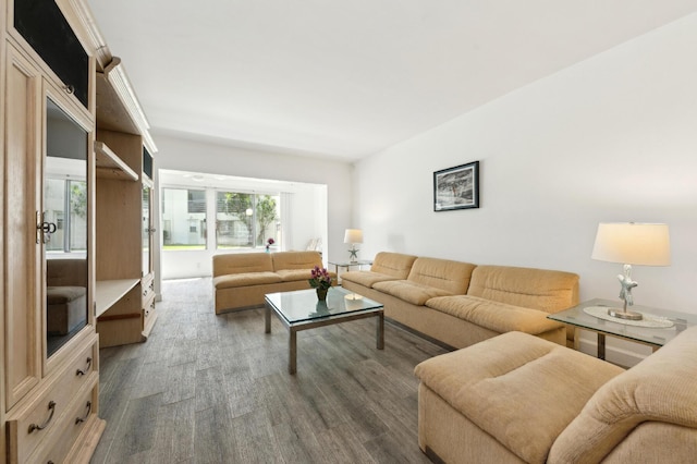 3186 Via Poinciana Unit 115, Lake Worth, FL 33467 - living room featuring dark wood-type flooring