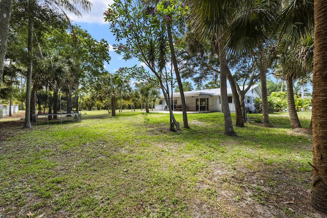 4972 S Kay St, Palm Beach Gardens, FL 33418 - view of green lawn featuring a trampoline