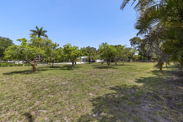 4972 S Kay St, Palm Beach Gardens, FL 33418 - view of yard