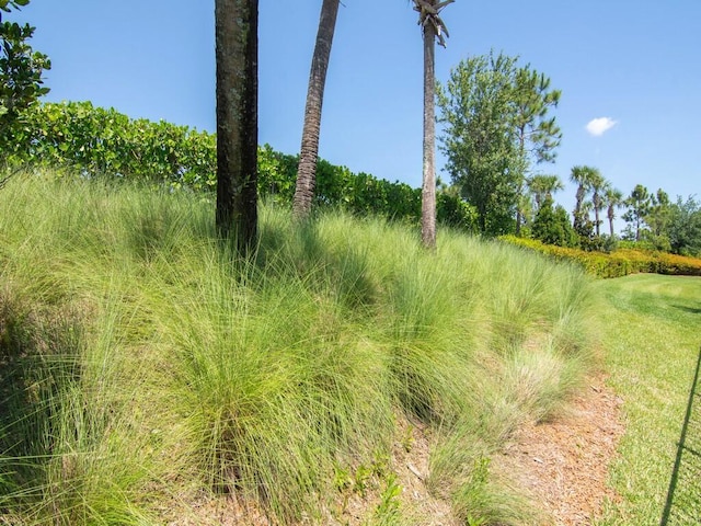 5082 Monroe Cir, Vero Beach, FL 32967 - view of local wilderness