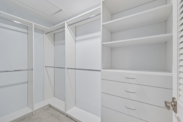 234 Capri E, Delray Beach, FL 33484 - view of spacious closet