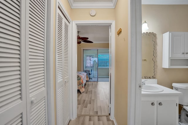 3647 SW Natura Ave Unit B, Deerfield Beach, FL 33441 - corridor with crown molding, a sink, and light wood-style flooring