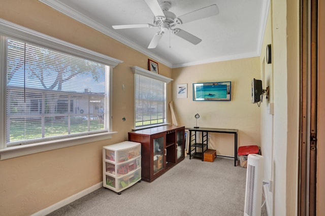 3647 SW Natura Ave Unit B, Deerfield Beach, FL 33441 - sitting room with carpet flooring, ornamental molding, ceiling fan, and baseboards