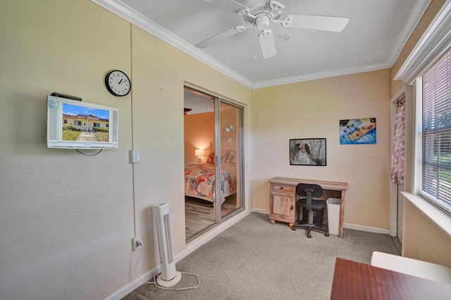 3647 SW Natura Ave Unit B, Deerfield Beach, FL 33441 - carpeted office space with ornamental molding, ceiling fan, and baseboards
