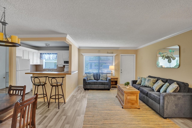 3647 SW Natura Ave Unit B, Deerfield Beach, FL 33441 - living room featuring light wood-style flooring, a textured ceiling, ornamental molding, and baseboards