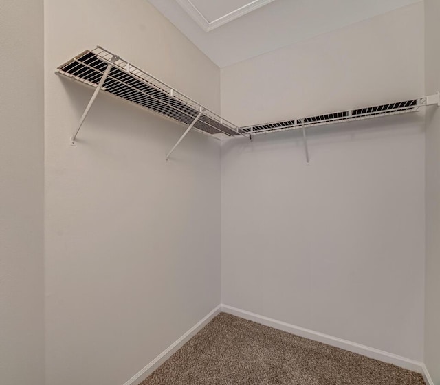 3810 N Jog Rd Unit 204, West Palm Beach, FL 33411 - spacious closet with carpet flooring