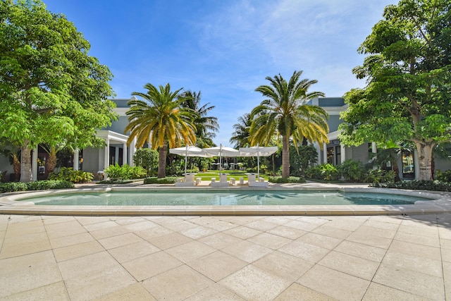 2371 Simonson Dr, Wellington, FL 33414 - view of swimming pool