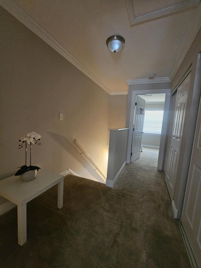 2018 S 10th St Unit C, Fort Pierce, FL 34950 - hallway with an upstairs landing, carpet floors, ornamental molding, and baseboards