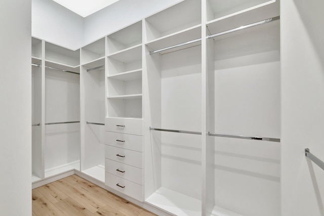17135 SW Ambrose Way, Port Saint Lucie, FL 34986 - walk in closet with light wood-style flooring