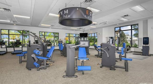 17135 SW Ambrose Way, Port Saint Lucie, FL 34986 - workout area with carpet and a drop ceiling