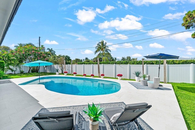 812 Chapel Hill Blvd, Boynton Beach, FL 33435 - view of pool featuring a patio area and a fenced backyard