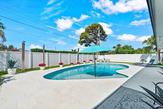 812 Chapel Hill Blvd, Boynton Beach, FL 33435 - view of swimming pool with a patio and a fenced backyard