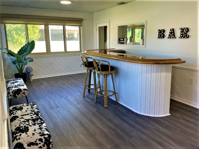 2809 SW 46th St, Dania Beach, FL 33312 - indoor wet bar featuring a wainscoted wall and dark wood finished floors