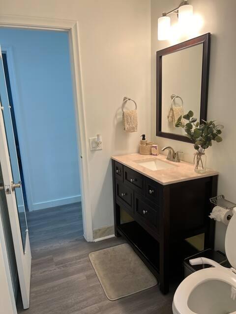 2809 SW 46th St, Dania Beach, FL 33312 - bathroom with wood finished floors, vanity, and toilet