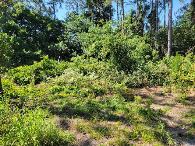 4295 55th St, Vero Beach, FL 32967 - view of nature