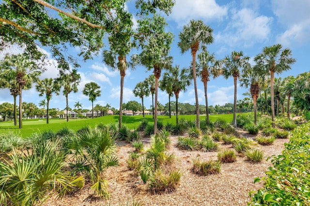 7919 L Aquila Way, Delray Beach, FL 33446 - view of local wilderness