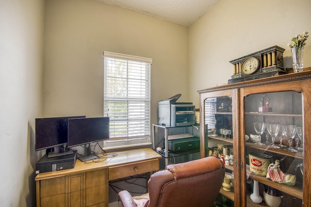 15048 85th Rd N, The Acreage, FL 33470 - office space with a textured ceiling