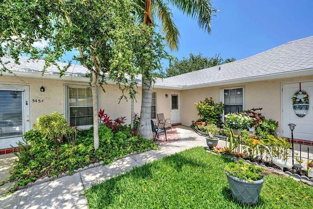 doorway to property featuring stucco siding, a lawn, and a shingled roof