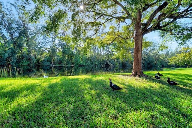 130 Lake Meryl Dr Unit 226, West Palm Beach, FL 33411 - view of yard