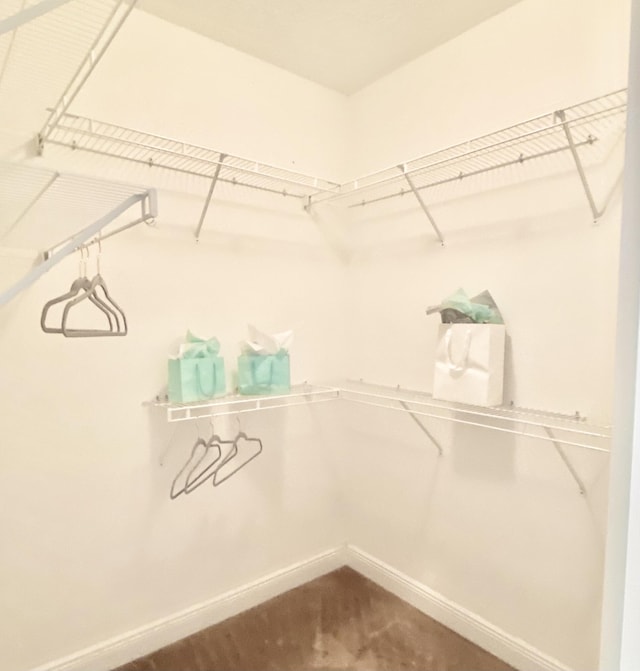 225 Clocktower Dr, Jupiter, FL 33458 - view of spacious closet