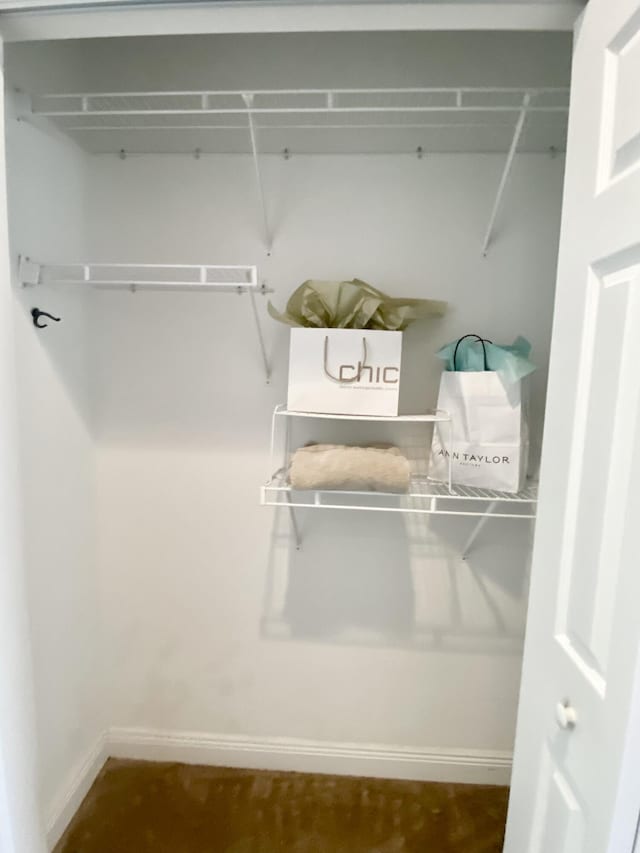 225 Clocktower Dr, Jupiter, FL 33458 - view of walk in closet