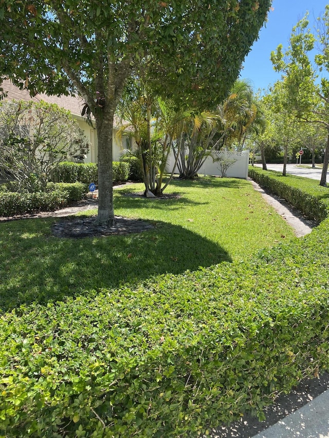225 Clocktower Dr, Jupiter, FL 33458 - view of green lawn