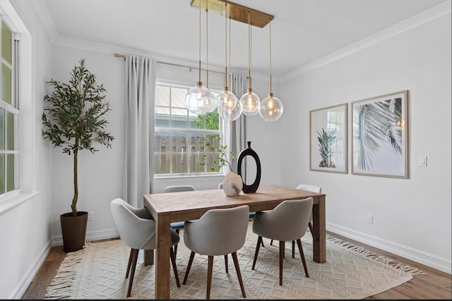 17564 Cinquez Park Rd W, Jupiter, FL 33458 - dining area with wood finished floors, ornamental molding, and baseboards