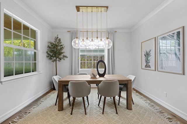 17564 Cinquez Park Rd W, Jupiter, FL 33458 - dining area with light wood-style flooring, healthy amount of natural light, crown molding, and baseboards