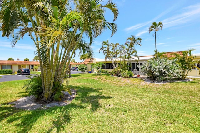 5730 Fernley Dr E Unit 28, West Palm Beach, FL 33415 - view of green lawn