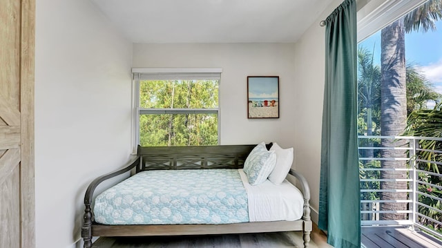 218 NE 10th St, Delray Beach, FL 33444 - bedroom with multiple windows and wood finished floors