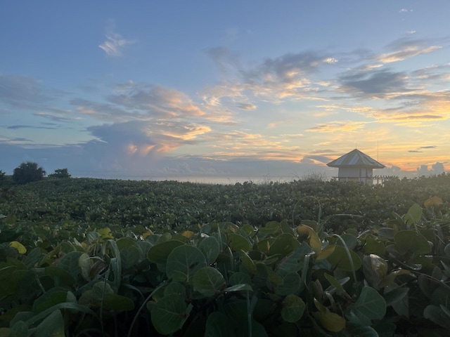 218 NE 10th St, Delray Beach, FL 33444 - view of mountain background featuring large plots for crops