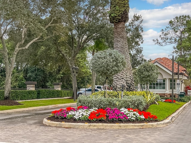 view of property's community