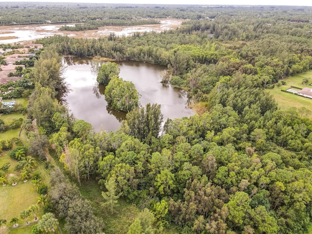 drone / aerial view of a large body of water and a forest